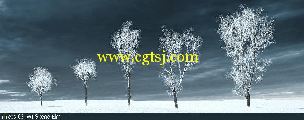 冬季树木植物3D模型合辑的图片14