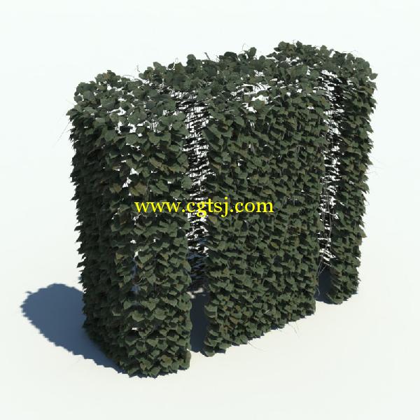 草木3D模型合辑的图片8