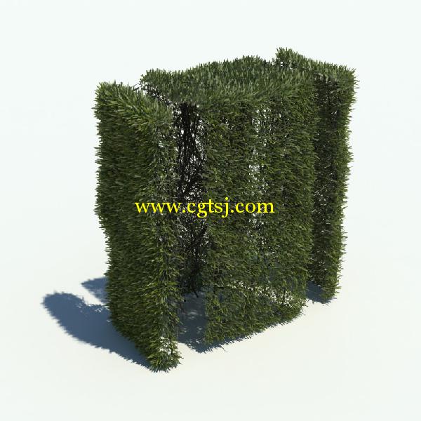 草木3D模型合辑的图片10