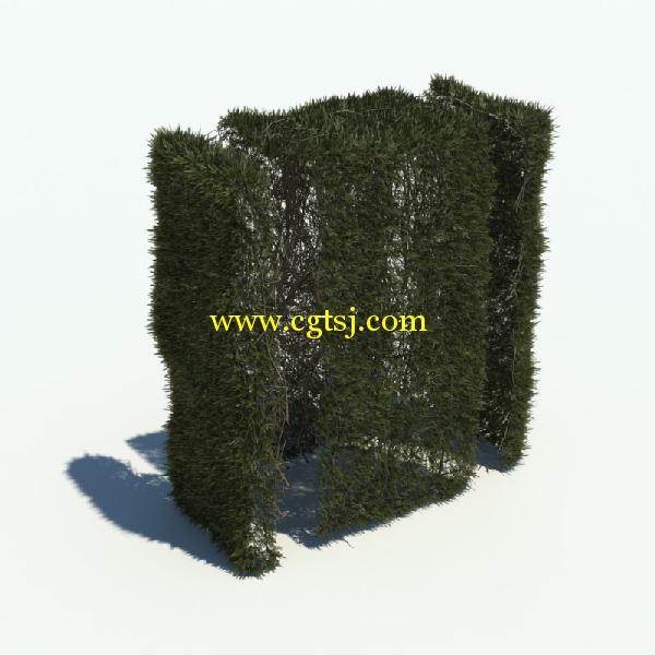 草木3D模型合辑的图片11