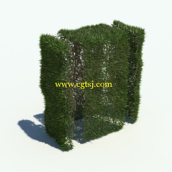 草木3D模型合辑的图片12