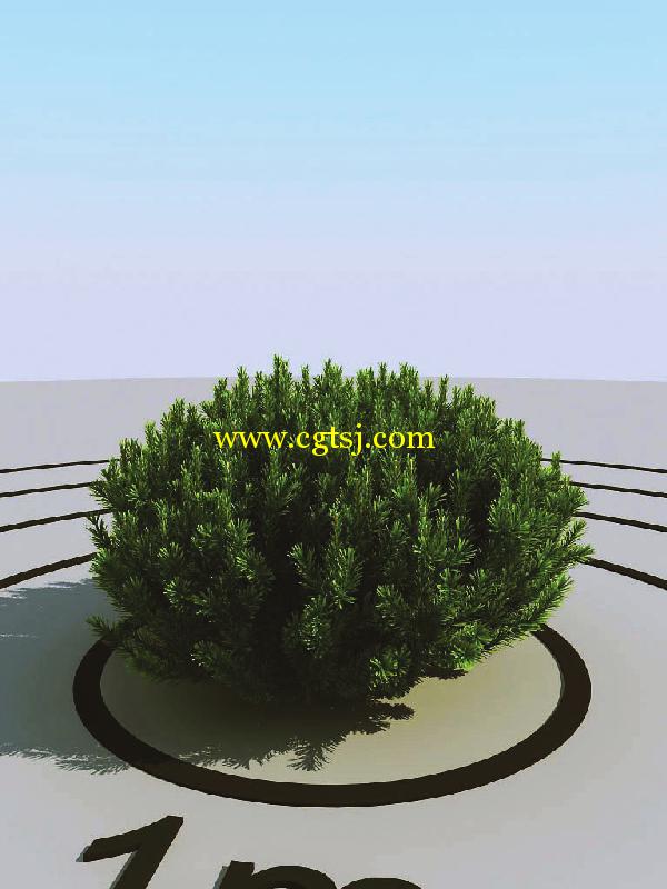 高精度花草3D模型合辑第二季的图片4