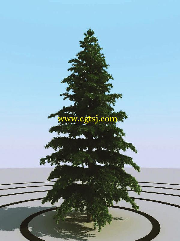 高精度树木植物3D模型合辑的图片3