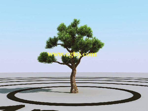 高精度树木植物3D模型合辑的图片6