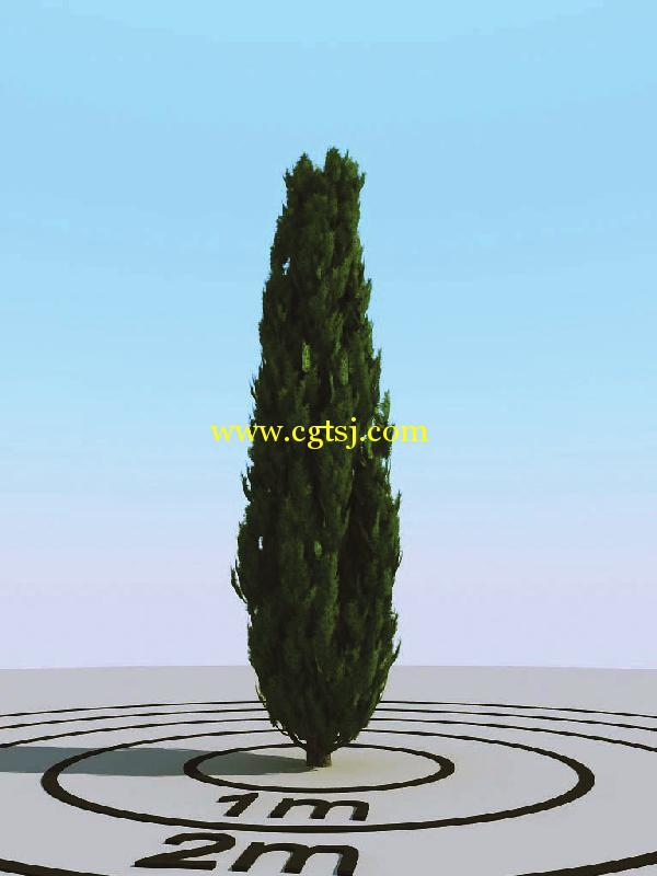 高精度树木植物3D模型合辑的图片8