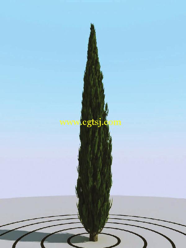 高精度树木植物3D模型合辑的图片9