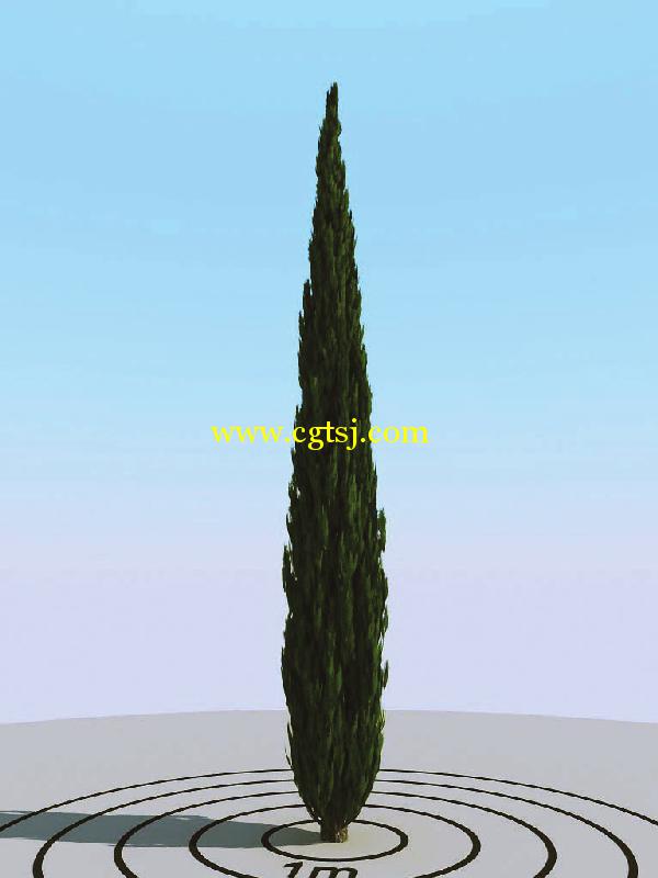 高精度树木植物3D模型合辑的图片10