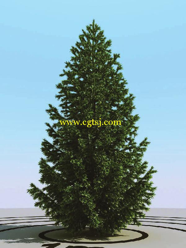 高精度树木植物3D模型合辑的图片11