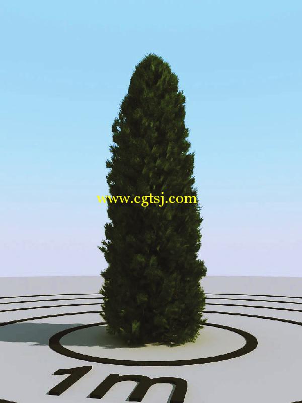 高精度树木植物3D模型合辑的图片12