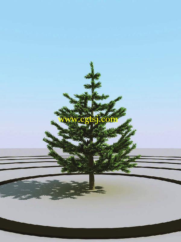 高精度树木植物3D模型合辑的图片13