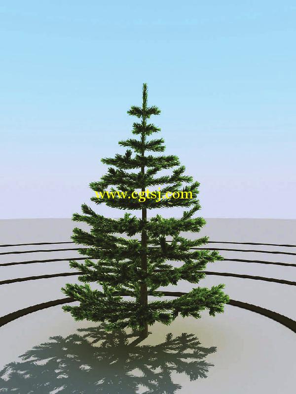 高精度树木植物3D模型合辑的图片14