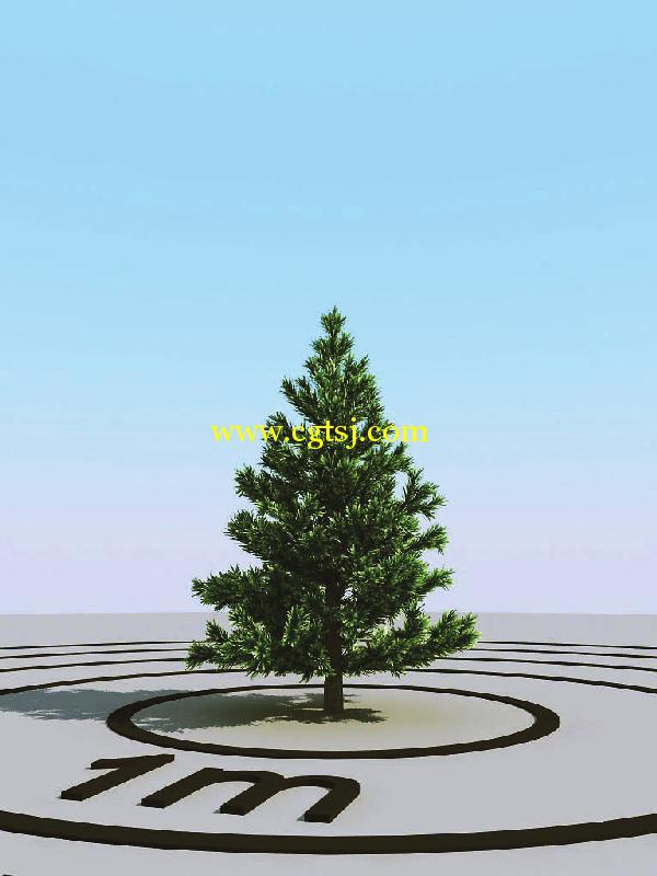 高精度树木植物3D模型合辑的图片15