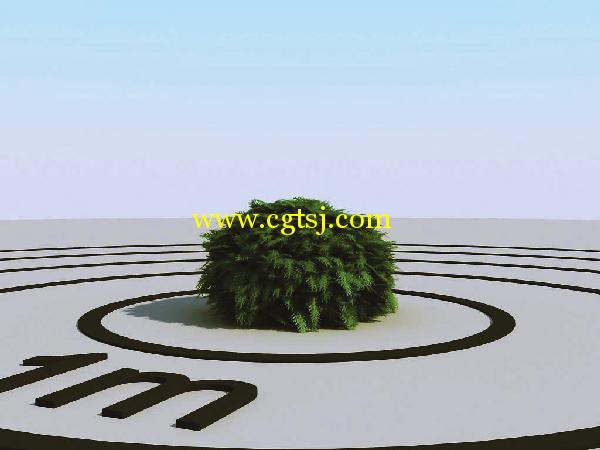 高精度树木植物3D模型合辑的图片17
