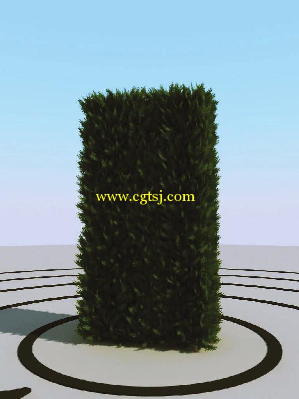 高精度树木植物3D模型合辑的图片18