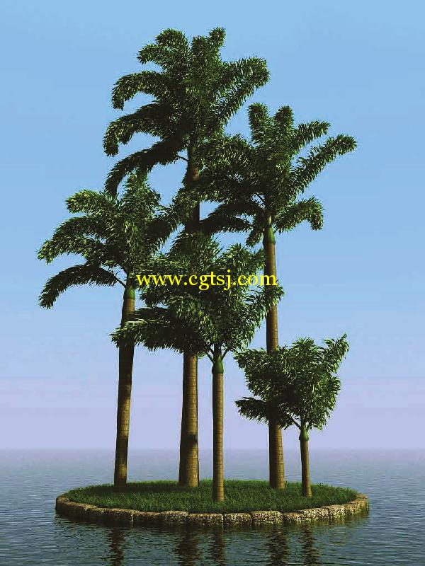 高精度树木植物3D模型合辑的图片22