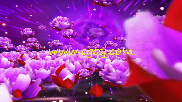 徜徉花海歌唱祖国鲜花舞台LED背景视频素材的图片3