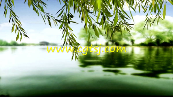 春风又绿柳树河岸舞台视频素材的图片1