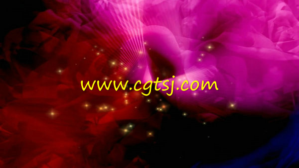 婚庆动感玫瑰花瓣LED视频(含音乐)的图片2
