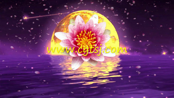 金色月亮海上升明月桃花梅花开放中秋节晚会LED背景视频素材的图片1
