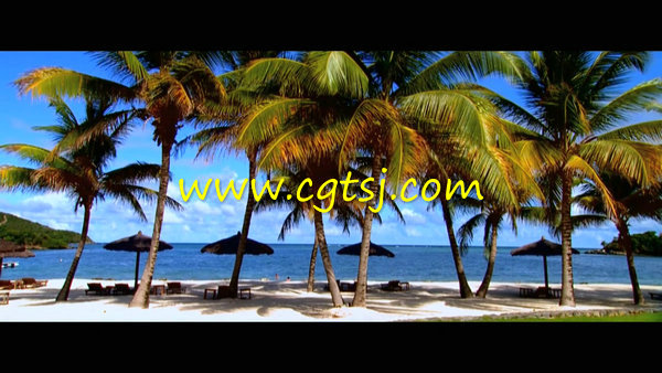 滨海岸度假村格林纳丁斯度假村高清企业记录宣传片视频素材 720P的图片2