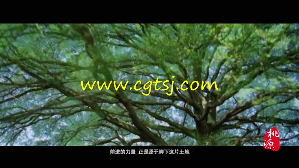 湖南常德桃源县旅游宣传片的图片3