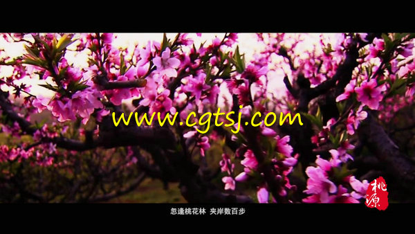 湖南常德桃源县旅游宣传片的图片4