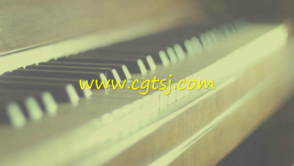 猫的世界女孩弹钢琴实拍视频素材 720P的图片1