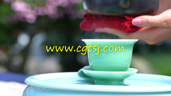 摘茶炒茶美女展示茶艺康佳演示片高清实拍视频素材 1080P的图片3