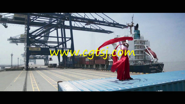 宁波大榭码头见证未来宣传片 1080P的图片3