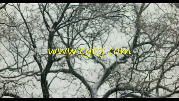下雪天飘漂飘洒洒树枝屋顶积雪的图片1