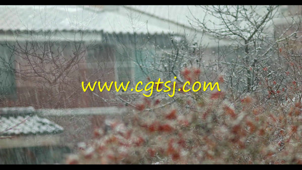 下雪天飘漂飘洒洒树枝屋顶积雪的图片3