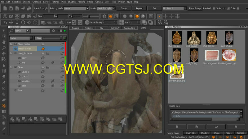 MARI螳螂生物纹理制作视频教程的图片3