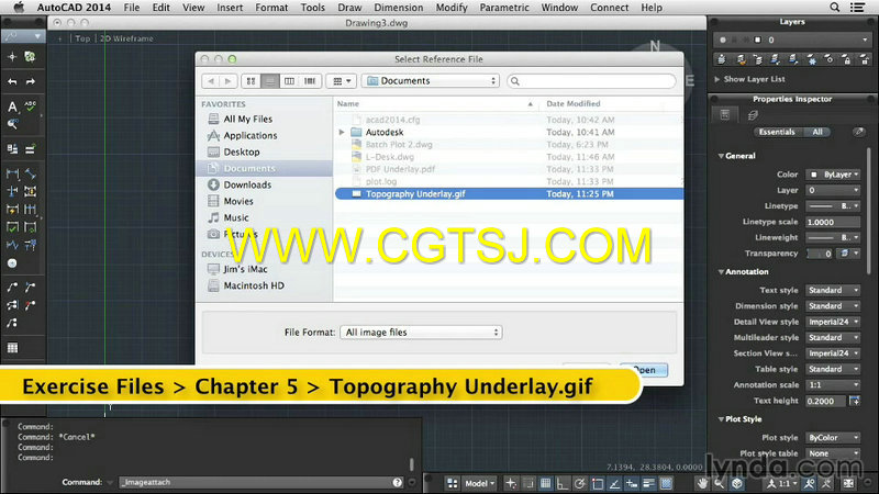 AutoCAD在Mac系统运行技巧视频教程的图片1
