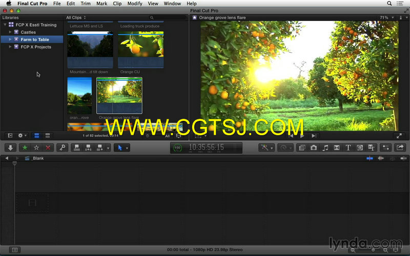 Final Cut Pro X 10基础入门训练视频教程的图片1