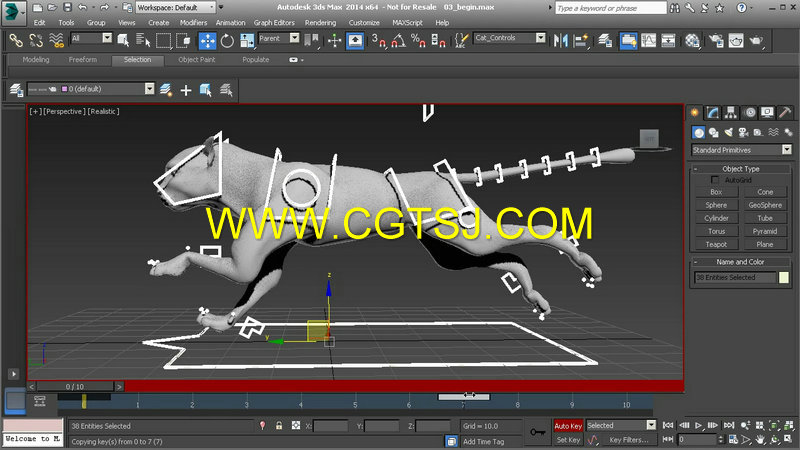 3dsMax 2014四足动物动画高效技术视频教程的图片1