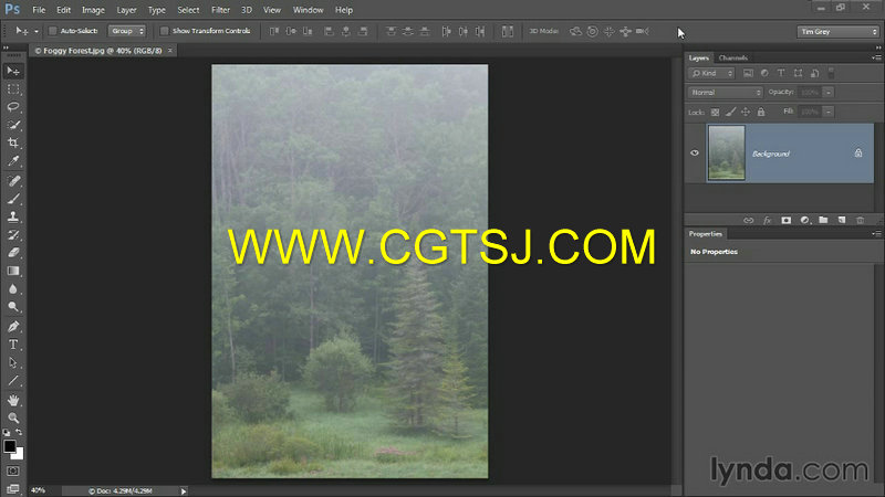 Photoshop CC图像优化技术视频教程的图片1