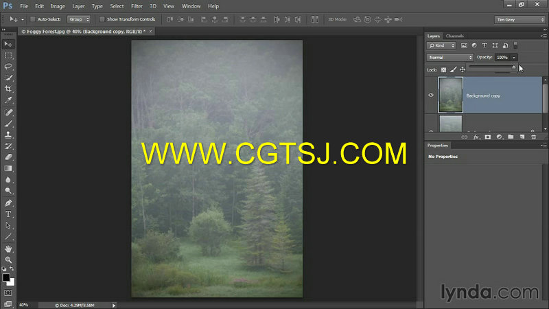 Photoshop CC图像优化技术视频教程的图片3