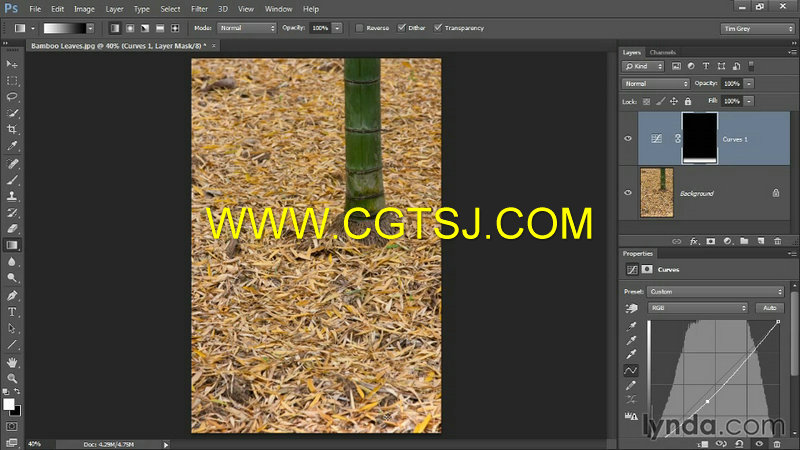 Photoshop CC照片瑕疵修复训练视频教程的图片1