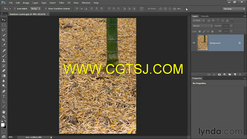 Photoshop CC照片瑕疵修复训练视频教程的图片5