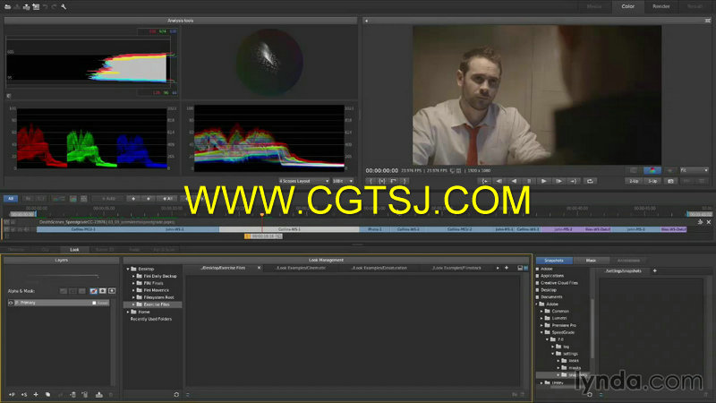 SpeedGrade CC 全面核心技术视频教程2014.1.2更新版的图片5