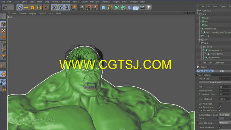 C4D电影绿巨人角色完整制作训练视频教程的图片1