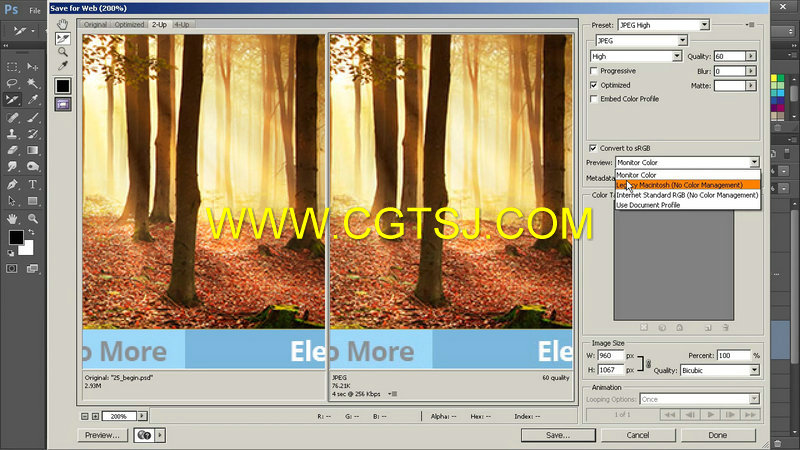 Photoshop网页设计入门训练视频教程的图片3