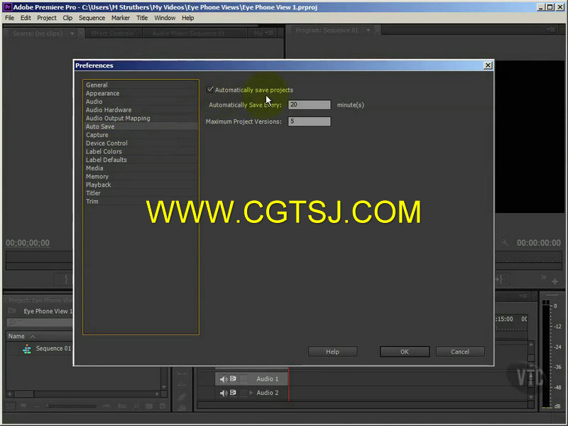 Premiere Pro CS6综合训练视频教程的图片1