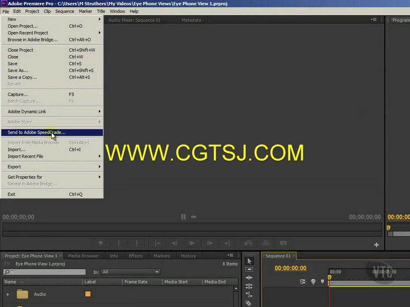 Premiere Pro CS6综合训练视频教程的图片2
