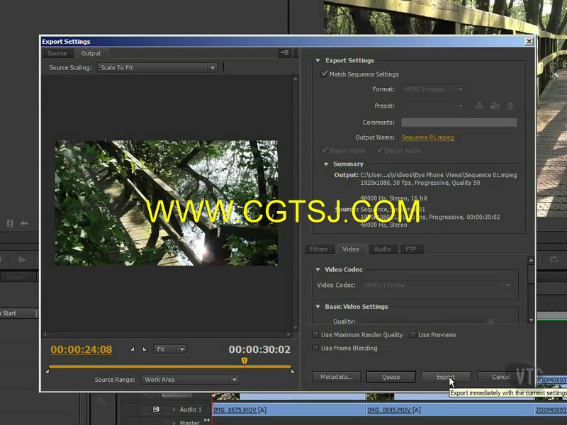 Premiere Pro CS6综合训练视频教程的图片3