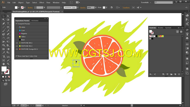 Illustrator CC综合训练视频教程的图片1