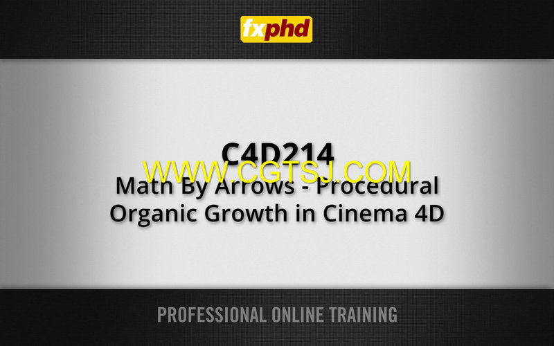 C4D高级可视化训练视频教程的图片1