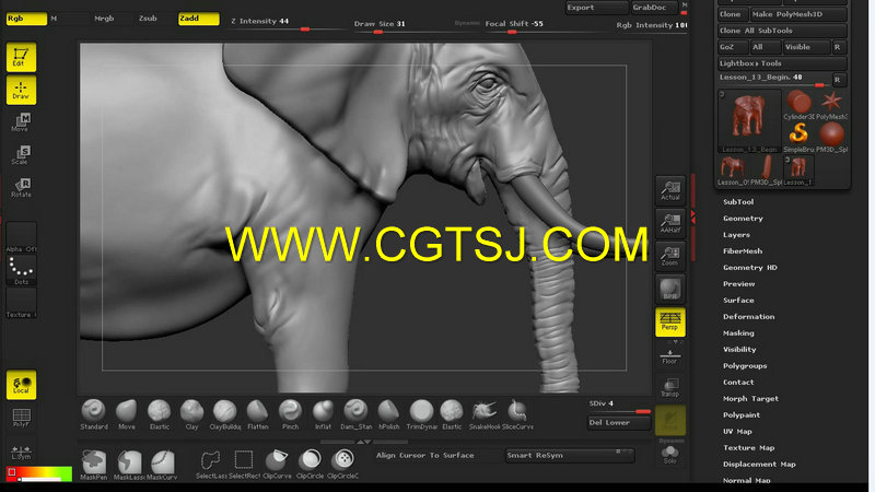 ZBrush真实大象雕刻技术视频教程的图片5