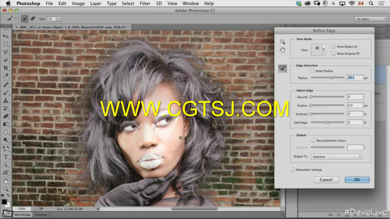 Photoshop高效工作技巧流程视频教程的图片6