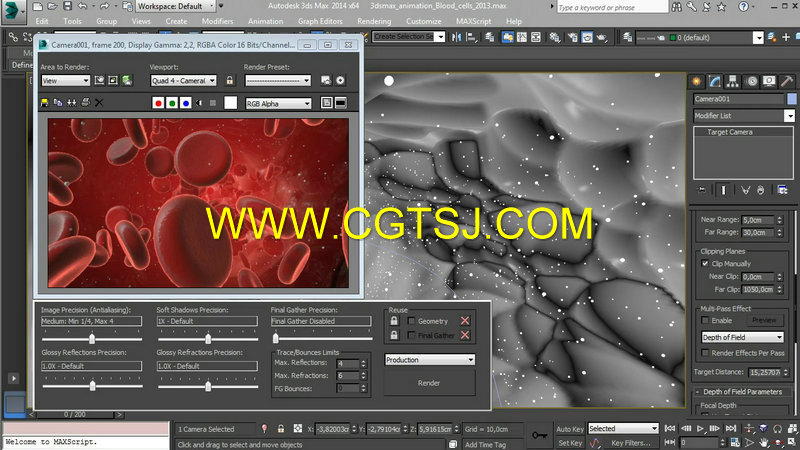 3dsmax血管血液血细胞制作训练视频教程的图片1